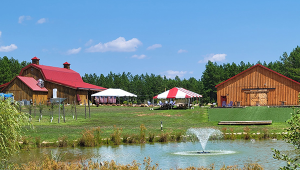 Callie Opie's Orchard Restaurant psp Callie Opie's Orchard Restaurant psp